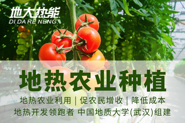 地?zé)豳Y源:內(nèi)蒙古發(fā)現(xiàn)的巨型地?zé)崽镉心男├梅绞?？地大熱? width=